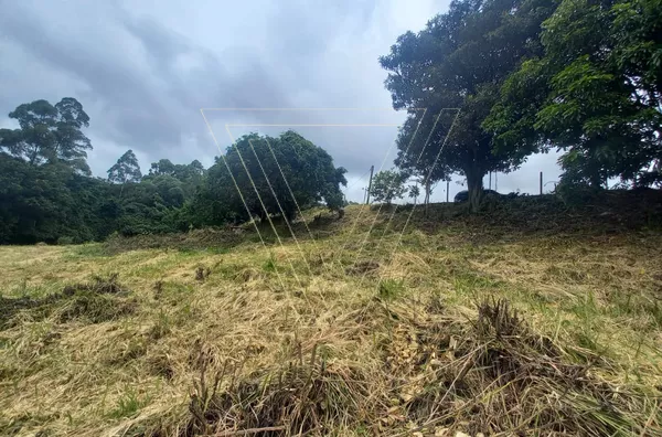 *TERRENO COM 3554 M², EXCELENTE LOCALIZAÇÃO E FÁCIL ACESSO AS PRINCIPAIS RODOVIAS. - Foto 4