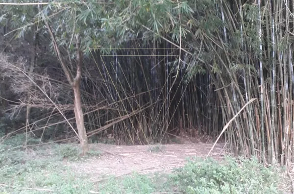 TERRENO A VENDA - 2.000m² PLANO - CAXAMBU - JUNDIAÍ - SP - Foto 4