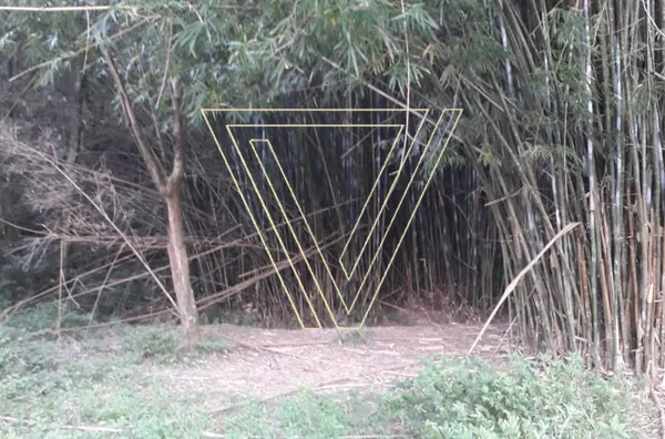 TERRENO A VENDA -  2.000m² PLANO - CAXAMBU - JUNDIAÍ - SP - Foto 4