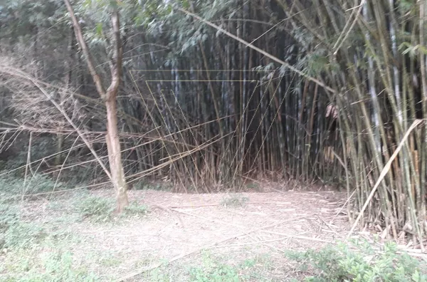 TERRENO A VENDA - 2.000m² PLANO - CAXAMBU - JUNDIAÍ - SP - Foto 8