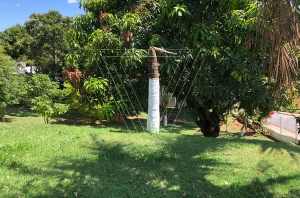 *CHÁCARA COM 3.000 M² , ALTO DA MALOTA, EXCELENTE LOCALIZAÇÃO. - Foto 2