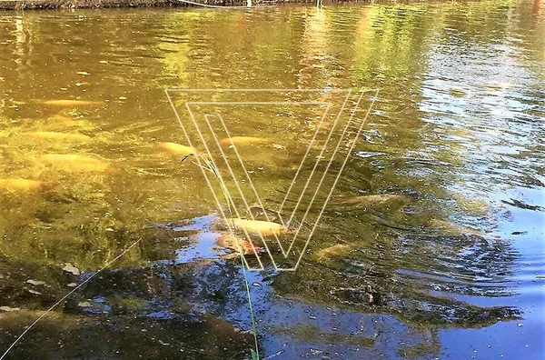 Chácara para venda, 4 quarto(s),  Pinhal, Cabreúva - Foto 6