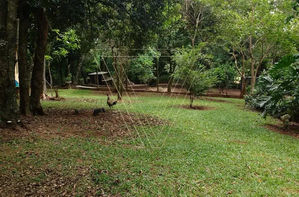 CHÁCARA CONDOMÍNIO BOSQUES DO CORRUPIRA JUNDIAÍ - ESTUDA PERMUTA POR CASA DE MENOR VALOR EM JUNDIAÍ. - Foto 21