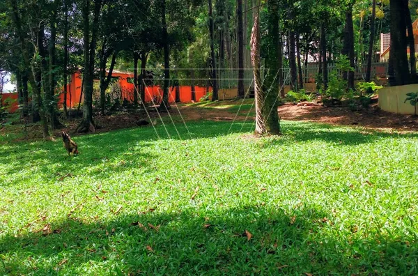 CHÁCARA CONDOMÍNIO BOSQUES DO CORRUPIRA JUNDIAÍ - ESTUDA PERMUTA POR CASA DE MENOR VALOR EM JUNDIAÍ. - Foto 22