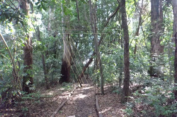 APARTAMENTO À VENDA NO FOREST - ANDAR ALTO COM VISTA LIVRE PARA SERRA DO JAPI. JUNDIAÍ/SP - Foto 20