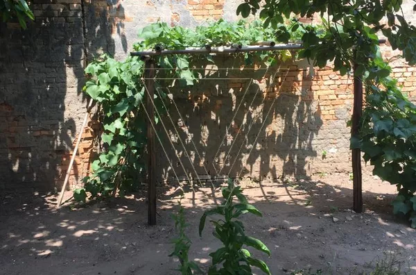Casa Térrea com Salão Comercial à Venda – Ponte São João - Jundiaí/SP - Foto 15