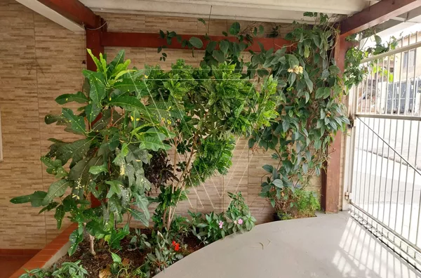 Casa a venda com 03 dormitórios - Jardim Pacaembú - Jundiaí - SP