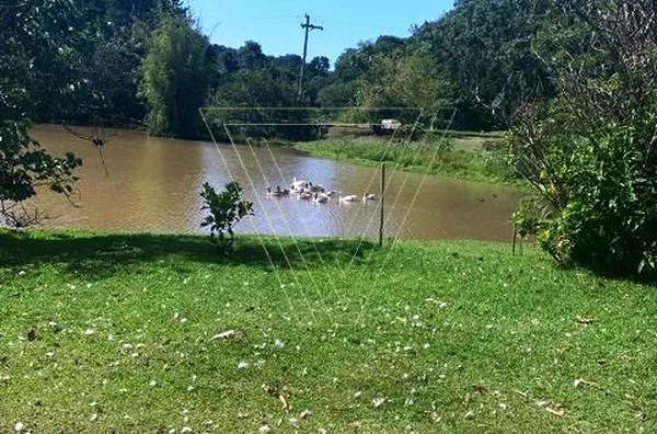 ESTUDA PERMUTA!! CHÁCARA 4.200M² PISCINA 3 CASAS - CONDOMÍNIO CHÁCARAS DE CAMPO VERDE - Foto 19