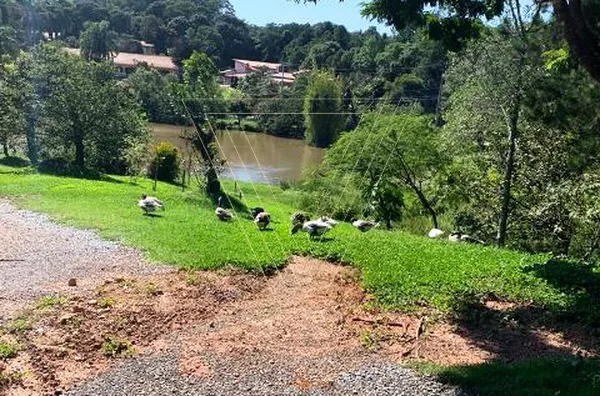 ESTUDA PERMUTA!! CHÁCARA 4.200M² PISCINA 3 CASAS - CONDOMÍNIO CHÁCARAS DE CAMPO VERDE - Foto 35
