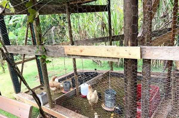 ESTUDA PERMUTA!! CHÁCARA 4.200M² PISCINA 3 CASAS - CONDOMÍNIO CHÁCARAS DE CAMPO VERDE - Foto 26