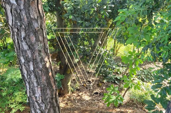 *TERRENO CONDOMÍNIO JARDIM NOVO MUNDO - JUNDIAÍ - SP - Foto 3
