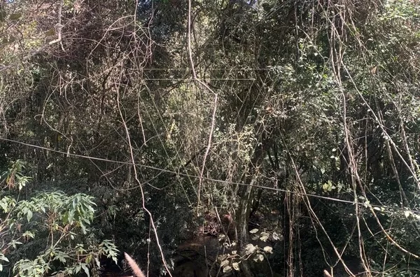 ÁREA RURAL À VENDA – 2160m² - LOTEAMENTO PARQUE MORANGABA – Jundiaí/SP - Foto 6
