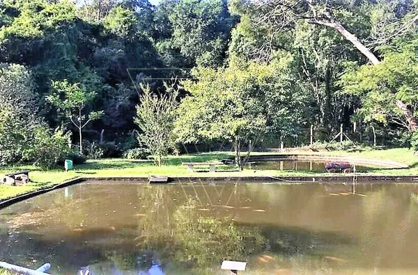 Chácara para venda, 4 quarto(s),  Pinhal, Cabreúva