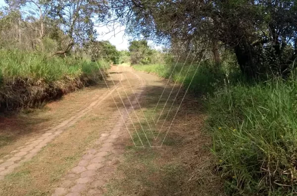 *SÍTIO EM JARINÚ COM 96.800 M², CASA SEDE, POÇO ARTESIANO, MATA NATIVA E NASCENTE, EXCELENTE OPORTUNIDADE... - Foto 14