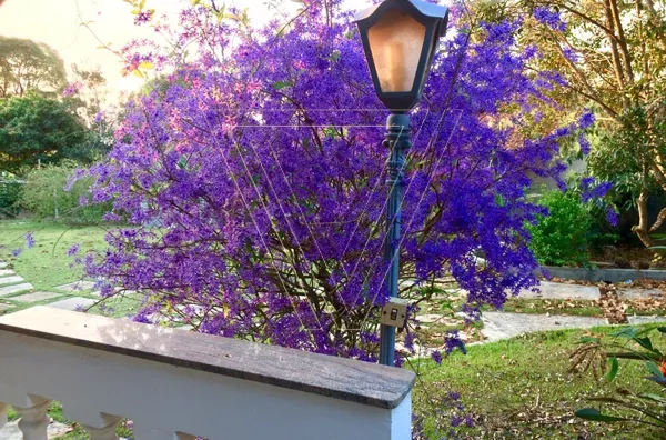 Chácara de Alto Padrão no Parque da Fazenda: O Refúgio Perfeito com Segurança 24h e Conexão Direta com a Natureza em Itatiba–SP - Foto 11
