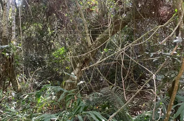 ÁREA RURAL À VENDA – 2160m² - LOTEAMENTO PARQUE MORANGABA – Jundiaí/SP - Foto 10