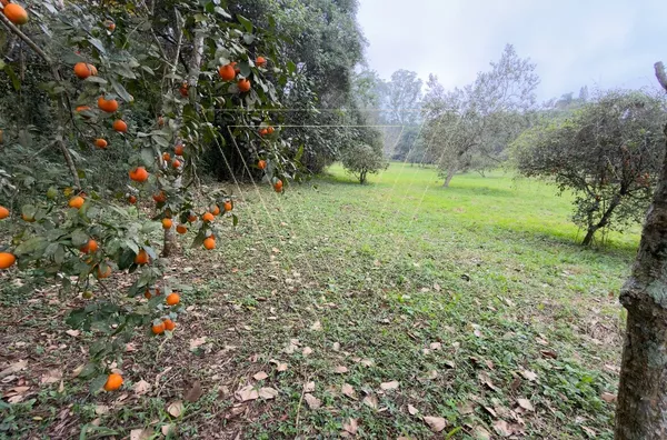 Haras Particular na Serra do Japi em Jundiaí - Foto 25