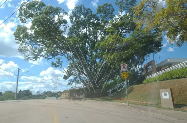 *Terreno com 365 m² a venda no Condomínio Bella vitta - Foto 8