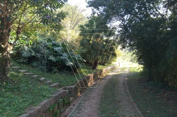 Área/Sítio para empreendimento para venda, 99.000 m² com Nascente Botujuru, Campo Limpo Paulista - Foto 9