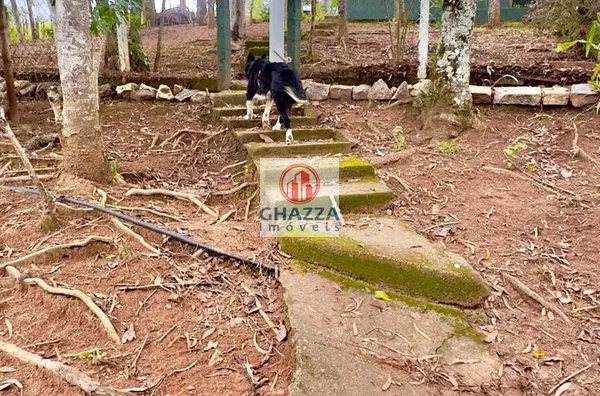 Sítio para venda, 3 quarto(s),  Engenho D'água, Guaratinguetá - Foto 6