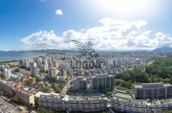 Aérea