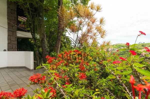 Casa 4 suítes em Fradinhos, Vitória | 1.863 m² de terreno - Foto 22
