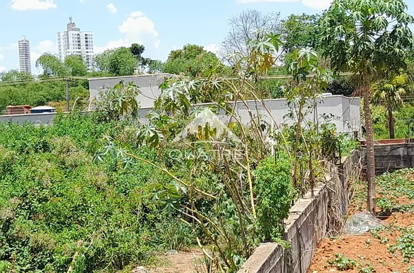 Terreno para venda, Jardim América, Goiania - Foto 4