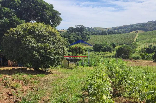 SÍTIO PARA VENDA EM VALINHOS - Foto 1