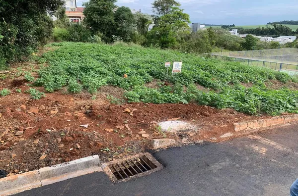 VENDAS: 02 TERRENOS JUNTOS - BAIRRO: FRARON