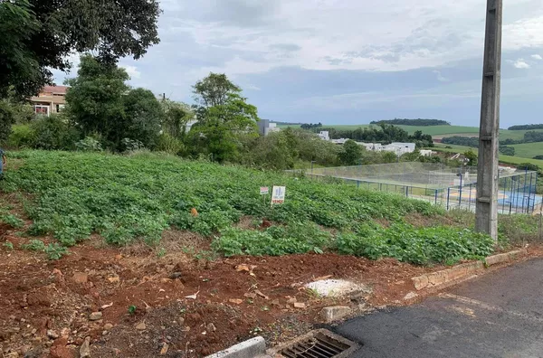 VENDAS: 02 TERRENOS JUNTOS - BAIRRO: FRARON