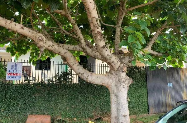 VENDA: CASA NO BAIRRO SÃO FRANCISCO