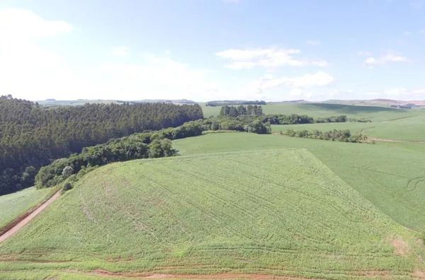 VENDA: ÁREA RURAL EM MARIÓPOLIS 