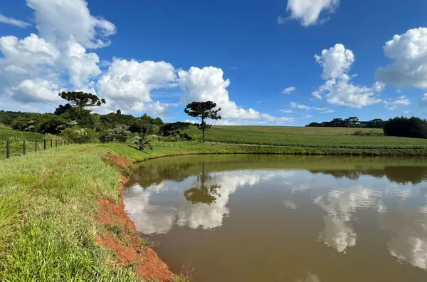 CHÁCARA PARA VENDA ENTRE PATO BRANCO E MARIOPOLIS