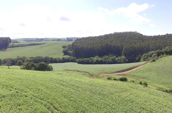 VENDA: ÁREA RURAL EM MARIÓPOLIS 