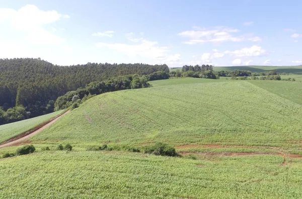 VENDA: ÁREA RURAL EM MARIÓPOLIS 