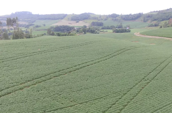VENDA: CHÁCARA PRONTA EM MARIÓPOLIS 