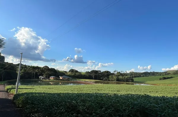 CHÁCARA PARA VENDA ENTRE PATO BRANCO E MARIOPOLIS