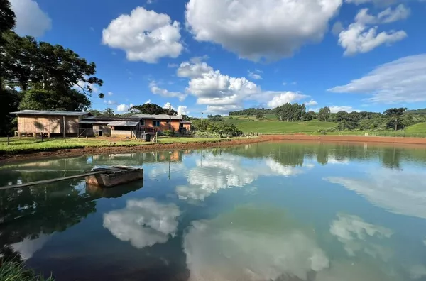 CHÁCARA PARA VENDA ENTRE PATO BRANCO E MARIOPOLIS