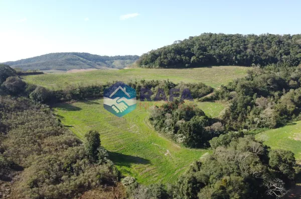 ÁREA RURAL COM 295.444 m² || LINHA FARTURA || VITORINO - PR - Foto 30