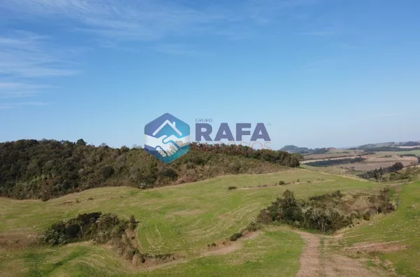 ÁREA RURAL COM 295.444 m² || LINHA FARTURA || VITORINO - PR - Foto 14