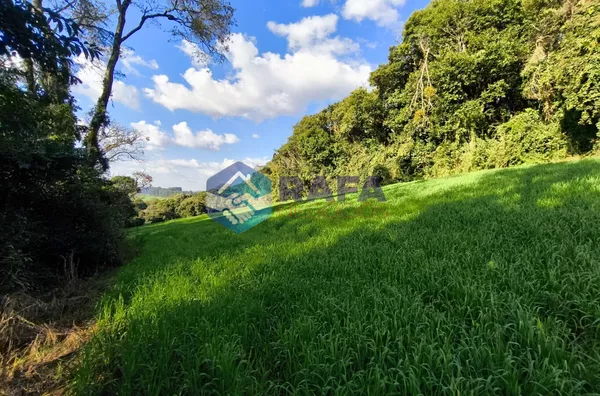 ÁREA DE PLANTIO 2 ALQ || LINHA N. SENHORA APARECIDA || BOM SUCESSO DO SUL - PR