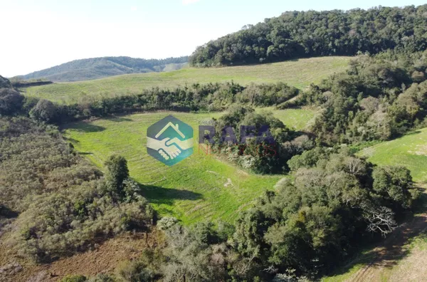 ÁREA RURAL COM 295.444 m² || LINHA FARTURA || VITORINO - PR - Foto 26