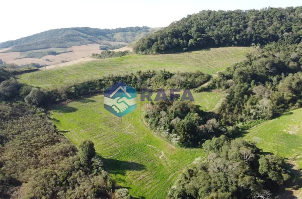 ÁREA RURAL COM 295.444 m² || LINHA FARTURA || VITORINO - PR - Foto 25