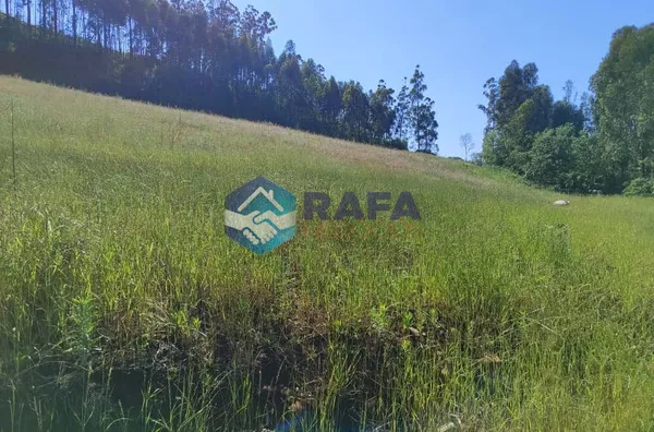 ÁREA DE TERRA 10,5 ALQUEIRES || LINHA ROVARIS || NOVO HORIZONTE - SC