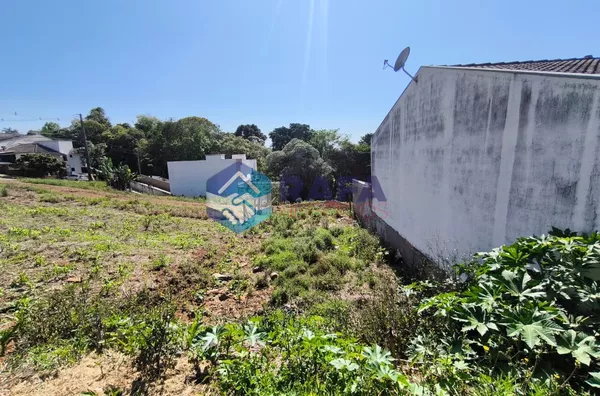 MEIO TERRENO COM 123M² || BAIRRO AEROPORTO || PATO BRANCO - PR