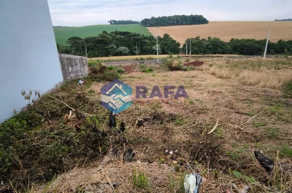 TERRENO COM 312 m² || BAIRRO FRARON || PATO BRANCO - PR