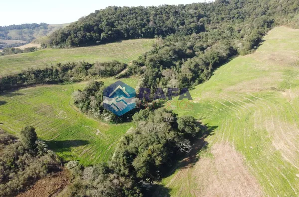 ÁREA RURAL COM 295.444 m² || LINHA FARTURA || VITORINO - PR - Foto 20