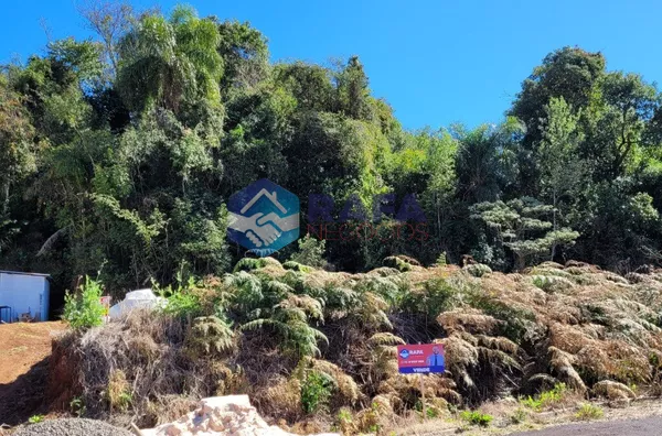 TERRENO 336M²|| LOTEAMENTO SIENA || PATO BRANCO - PR