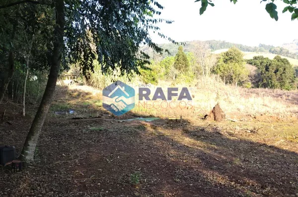 CHÁCARA 2,5 alqueires || LINHA CARAVAGIO || VITORINO - PR