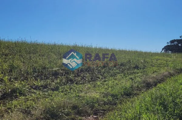 SÍTIO 37 HECTARES / LINHA RONDINHA / MUNICÍPIO DE PATO BRANCO PR